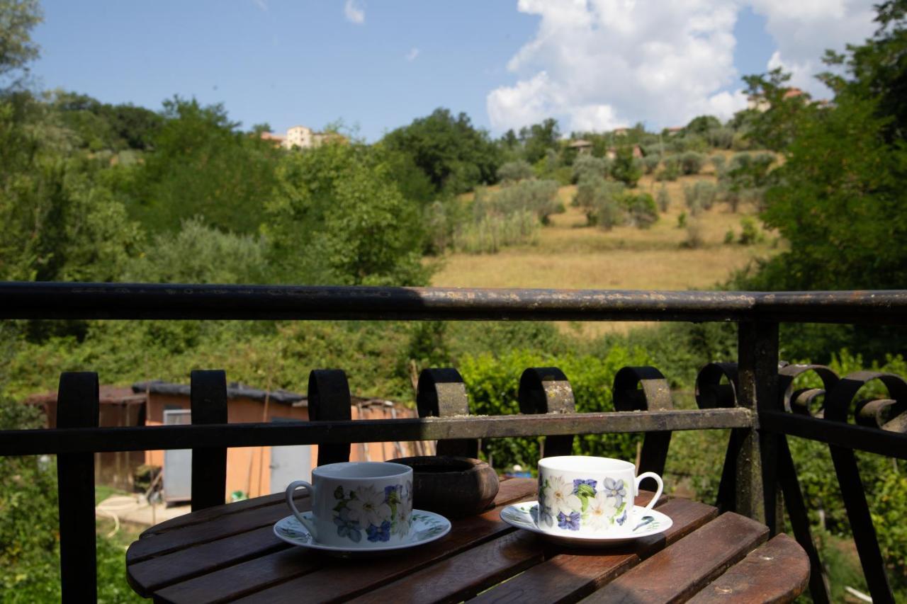 B&B Villa Il Noce Picinisco Buitenkant foto